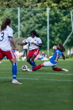 Bild 357 - wBJ Hamburger SV - Holstein Kiel : Ergebnis: 2:0